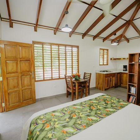 Dreamy Contentment Matapalo (Puntarenas) Exterior foto