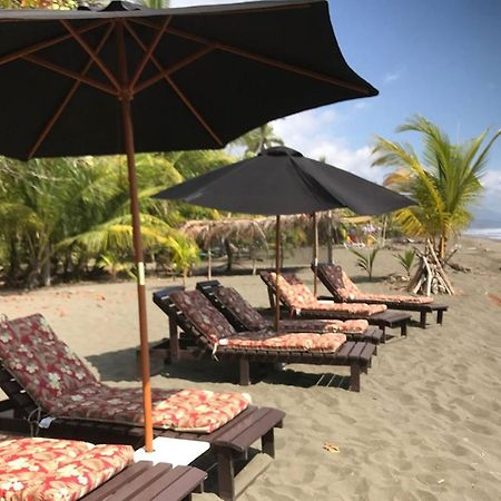 Dreamy Contentment Matapalo (Puntarenas) Exterior foto