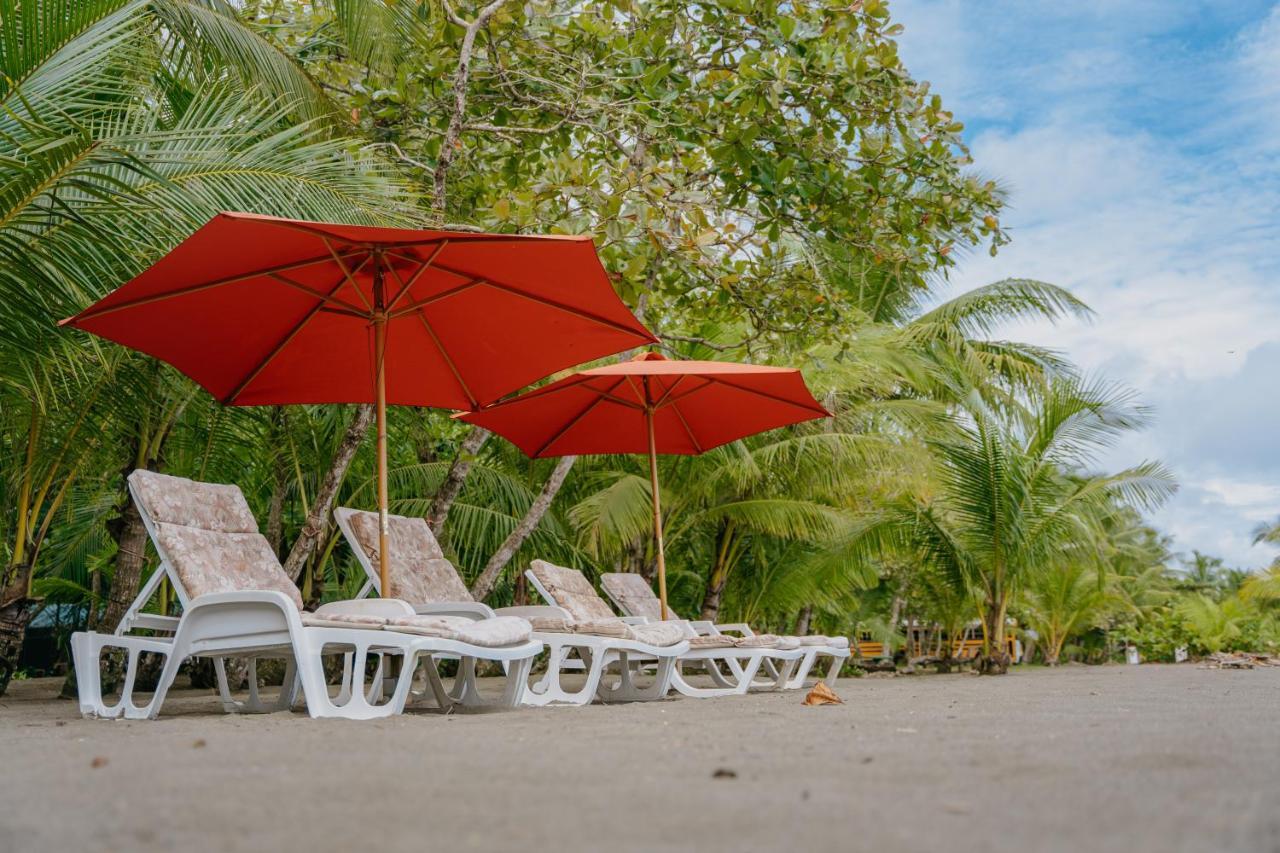 Dreamy Contentment Matapalo (Puntarenas) Exterior foto