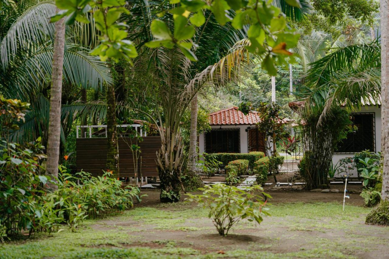 Dreamy Contentment Matapalo (Puntarenas) Exterior foto