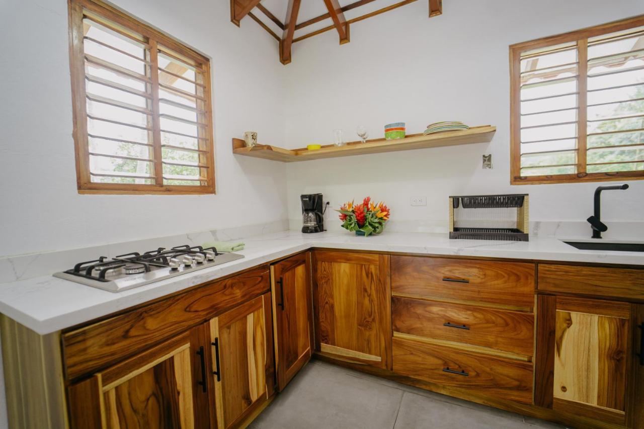 Dreamy Contentment Matapalo (Puntarenas) Exterior foto