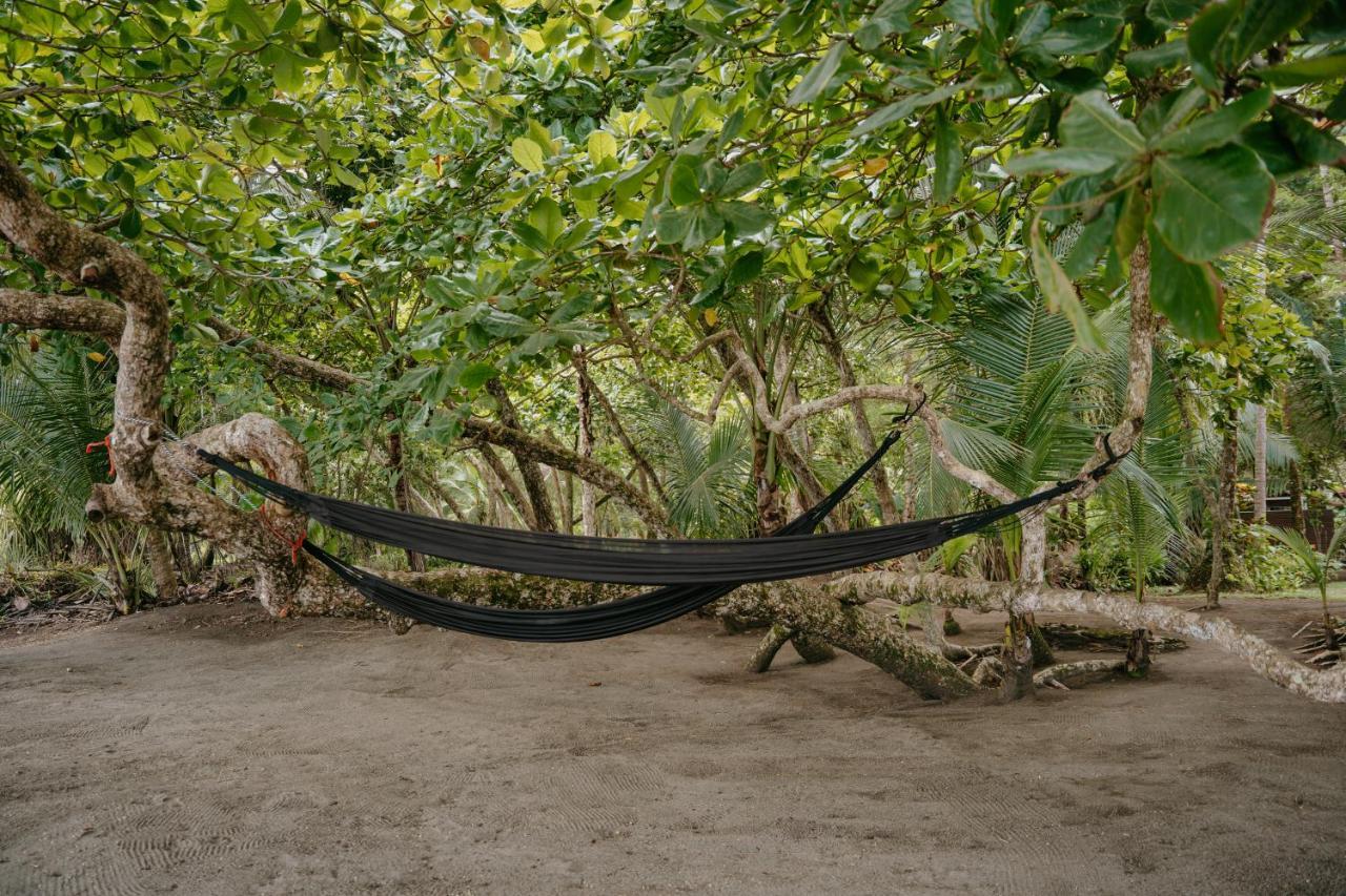Dreamy Contentment Matapalo (Puntarenas) Exterior foto