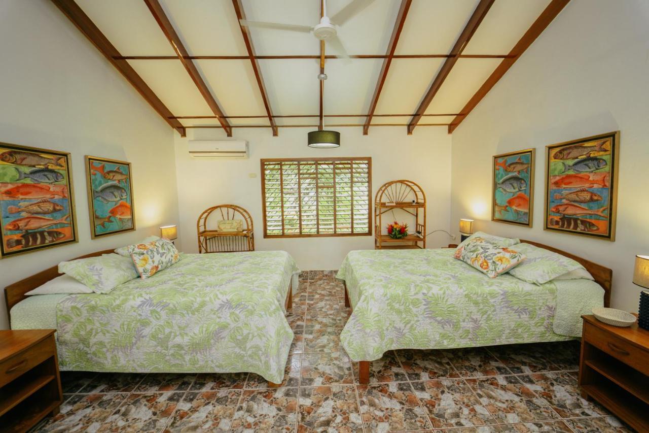 Dreamy Contentment Matapalo (Puntarenas) Exterior foto