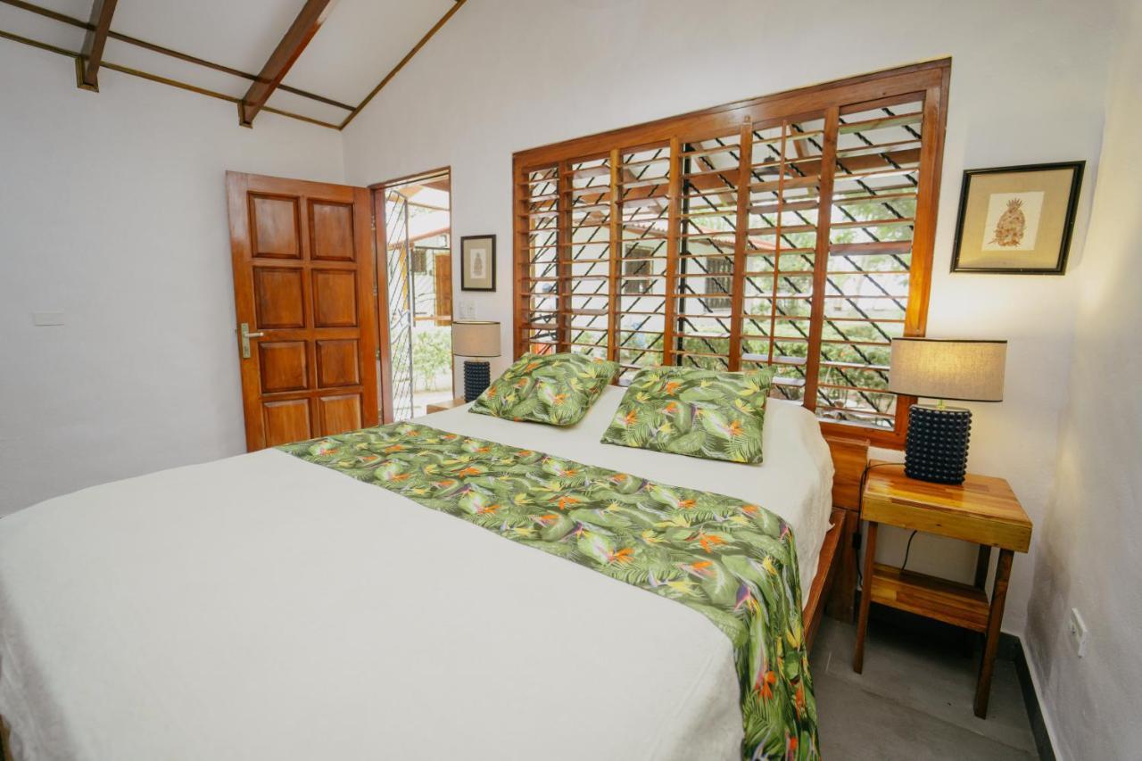 Dreamy Contentment Matapalo (Puntarenas) Exterior foto