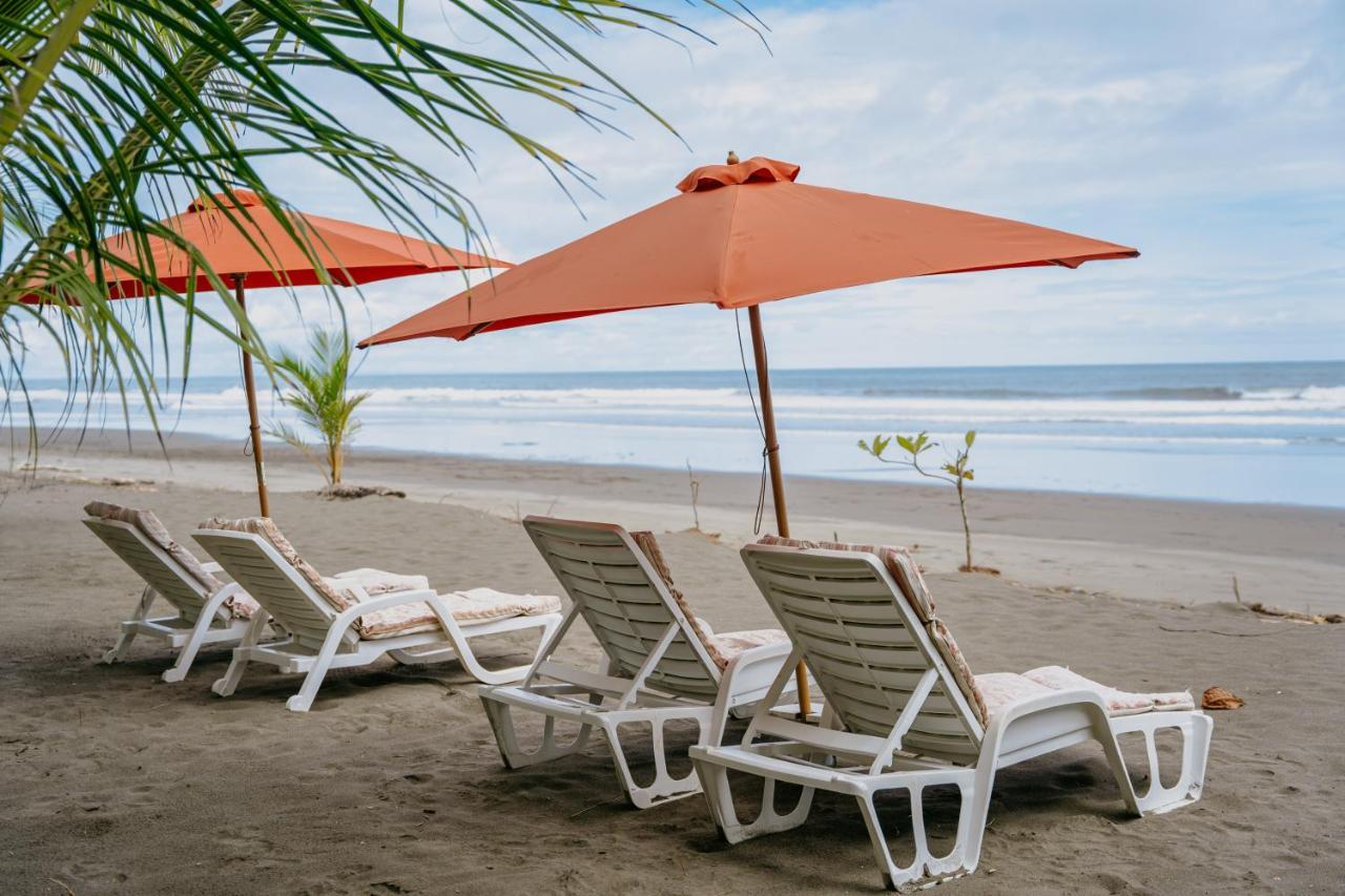 Dreamy Contentment Matapalo (Puntarenas) Exterior foto