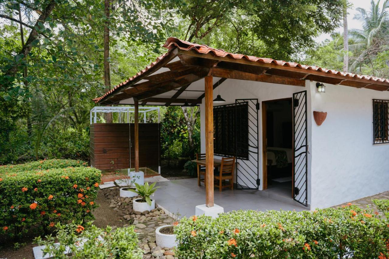 Dreamy Contentment Matapalo (Puntarenas) Exterior foto