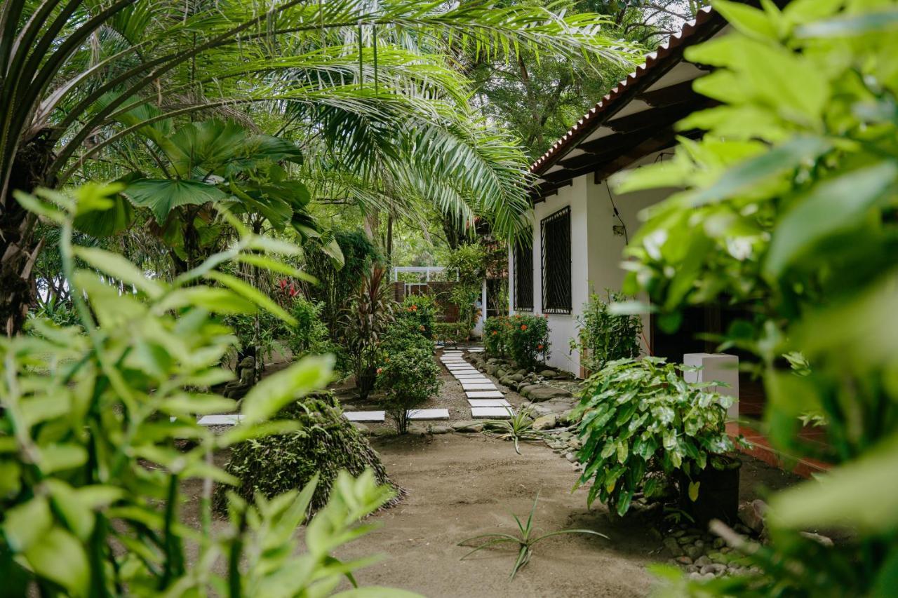 Dreamy Contentment Matapalo (Puntarenas) Exterior foto