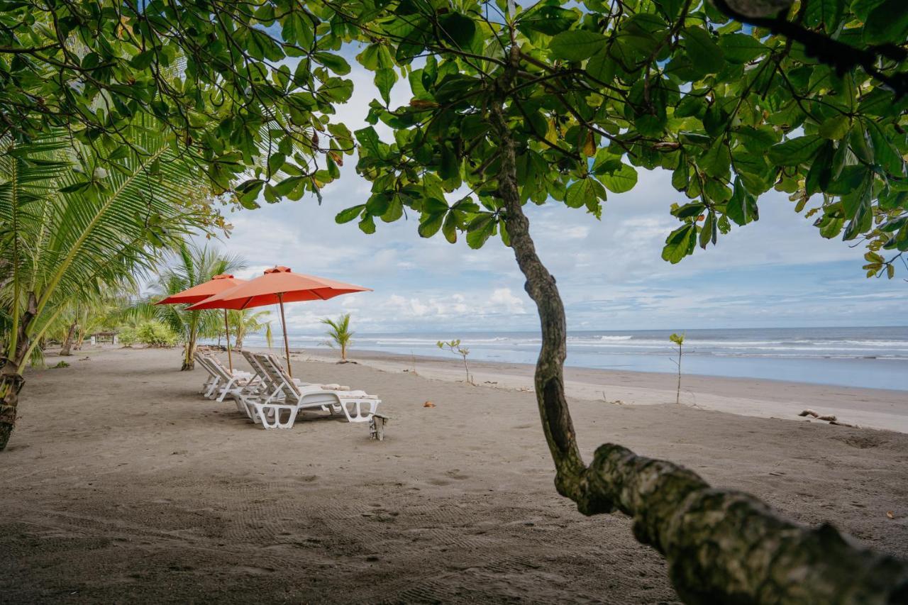 Dreamy Contentment Matapalo (Puntarenas) Exterior foto