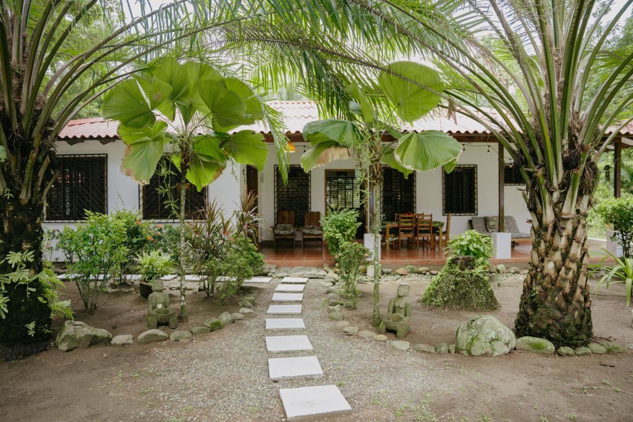 Dreamy Contentment Matapalo (Puntarenas) Exterior foto